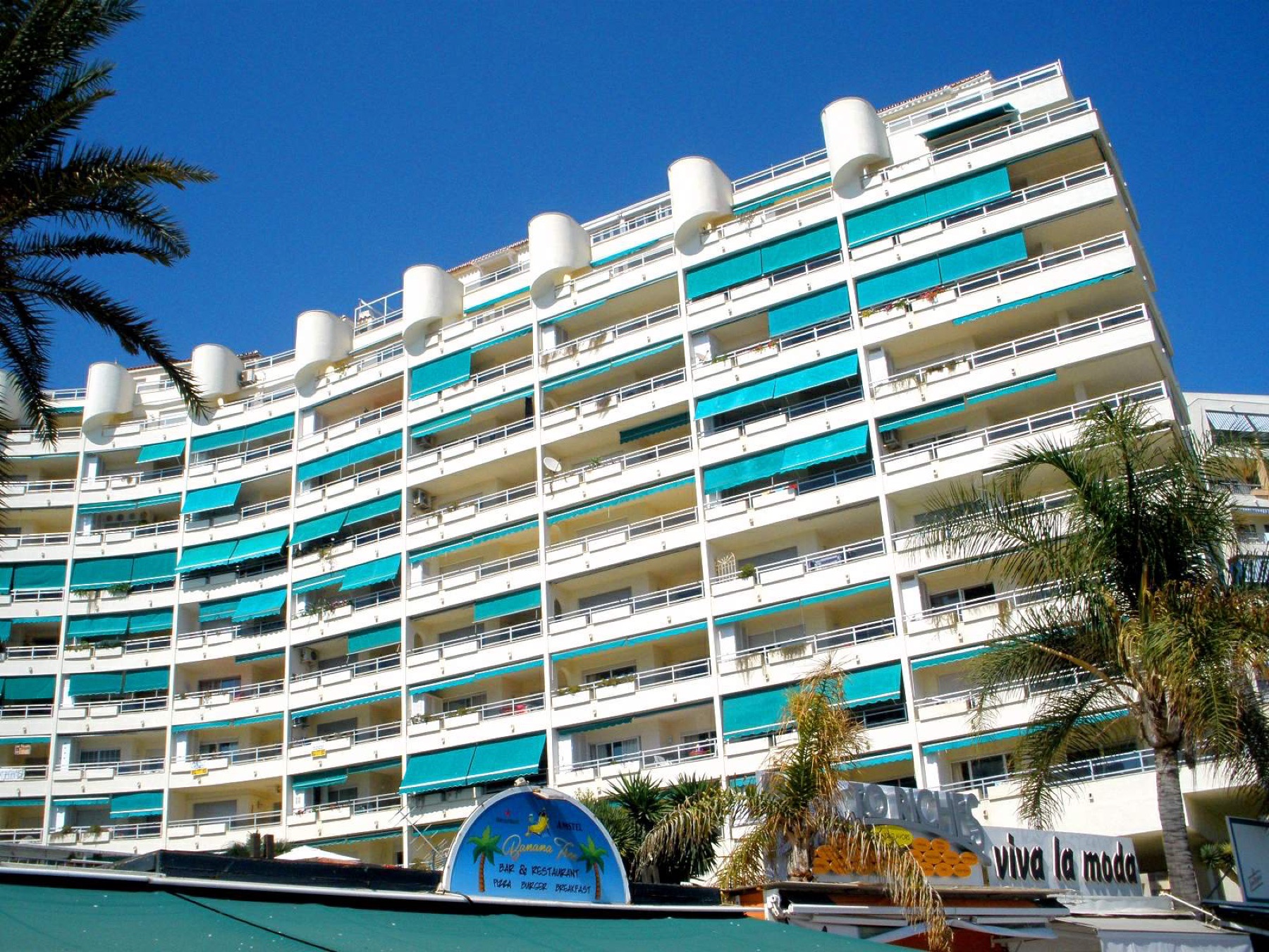Edificios y palmeras junto al paseo marítimo de Marbella